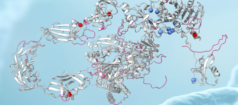 New research classifies mutant proteins behind genetic diseases ...