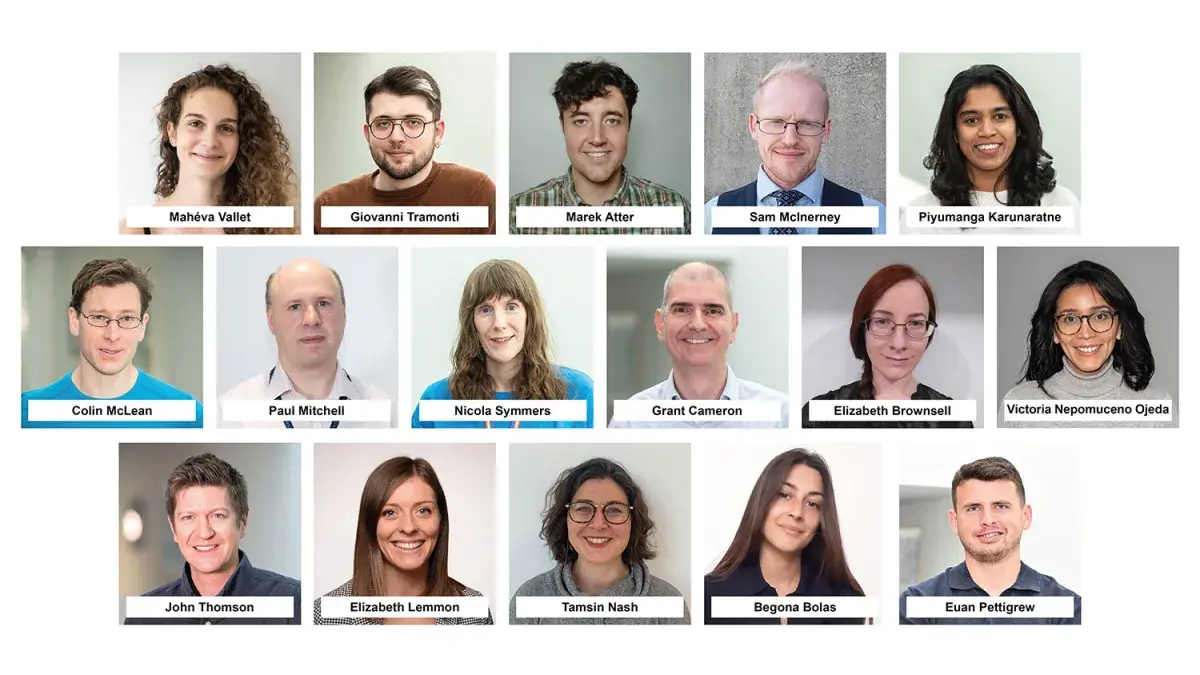 Peter Hall Research Group Collage