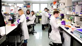 Cathy Abbott Lab Group