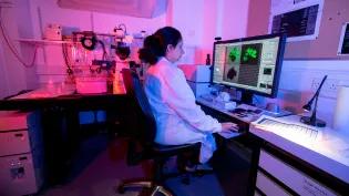 Imaging committee - Shipra