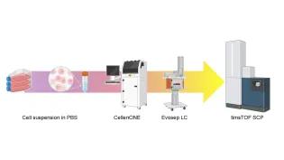Workflow of SCP from Cellenone to timsTOF
