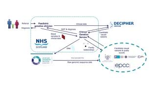 Workflow of the NHS Scotland Trio Whole Exome Sequencing (WES) Service