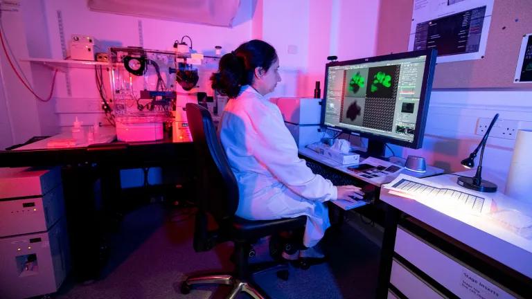 Imaging committee - Shipra