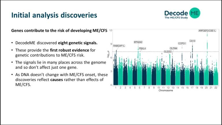 Initial analysis discoveries