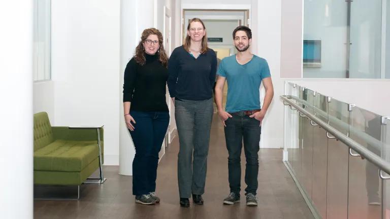 Pippa Thomson Research Group