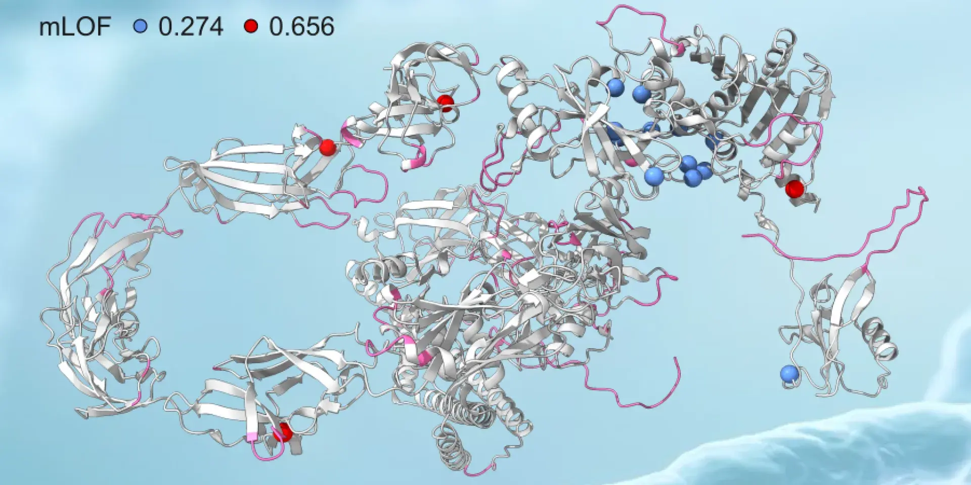 Two groups of SMCHD1 variants and their mLOF scores  