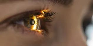 Light Beam Is Shining Through Retina And Lens On Eyesight Exam 