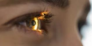 Light Beam Is Shining Through Retina And Lens On Eyesight Exam 