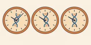 ChatGPT of epigenetic clocks
