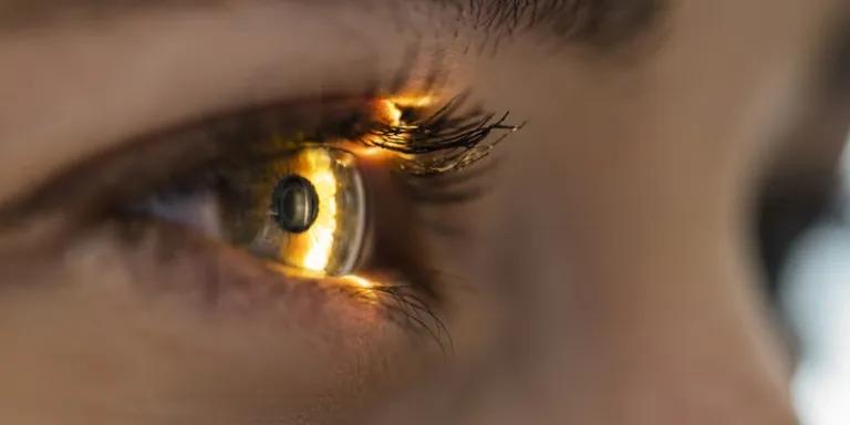 Light Beam Is Shining Through Retina And Lens On Eyesight Exam 