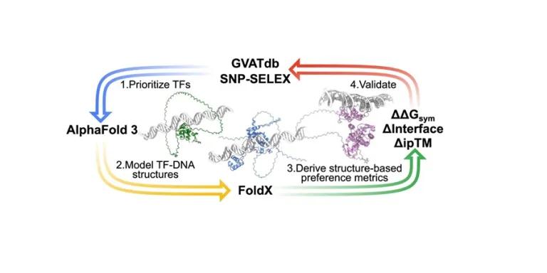 Graphical abstract