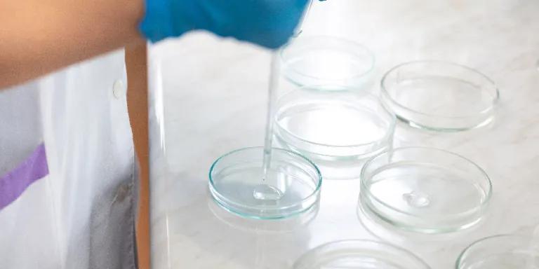 Close-up of a laboratory scientist using a dropper to transfer liquid into petri dishes