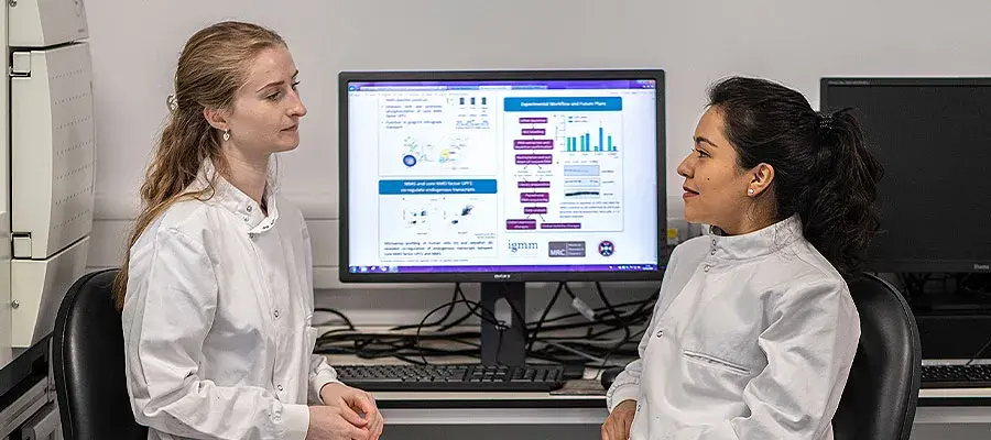PhD opportunities