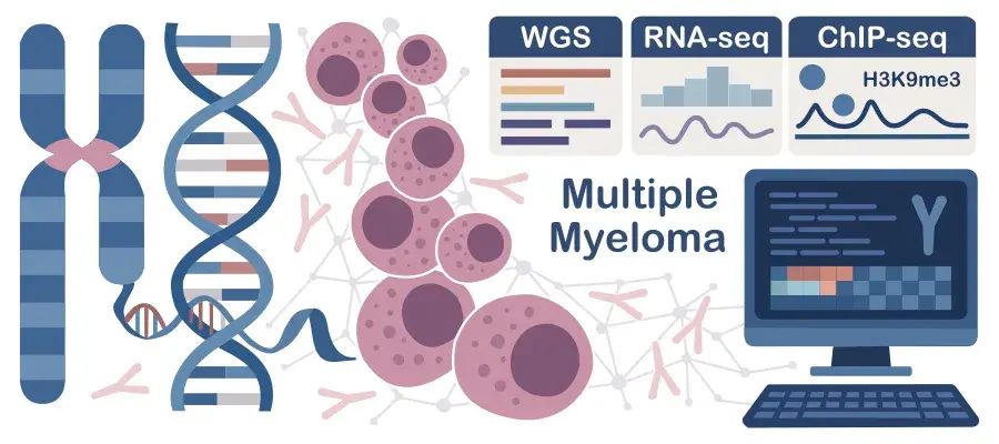 Multiple Myeloma Diagram