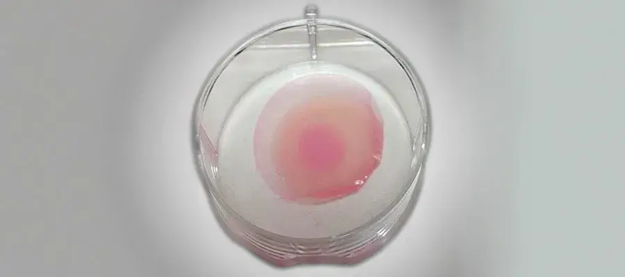 Sara Brown Research Image