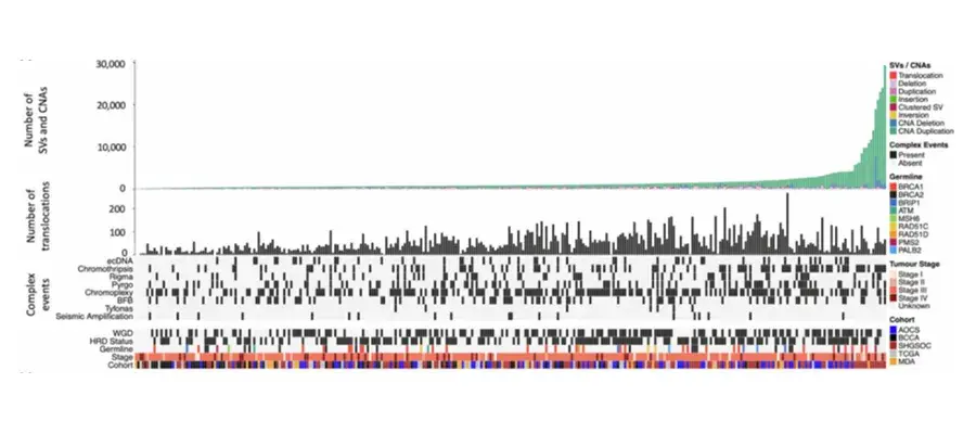 Colin Semple & Stuart Aitken Research Project Image 2025