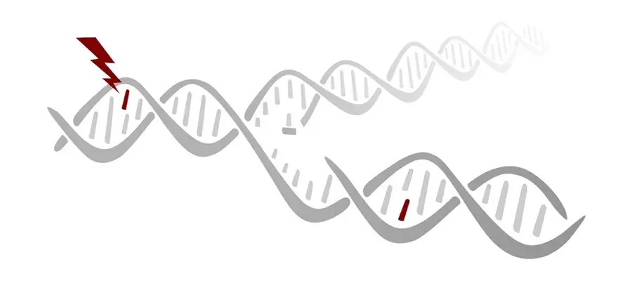 Martin Taylor & Ava Khamseh Research Project Image 2025