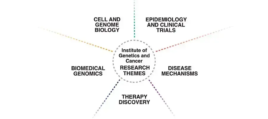 Research Themes Placeholder Graphic