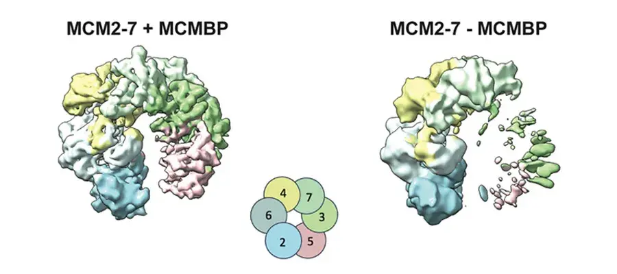 Tom Deegan Research Project Image 2025