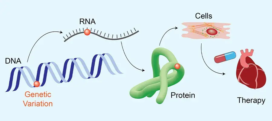 Simon Biddie Research Image 2025