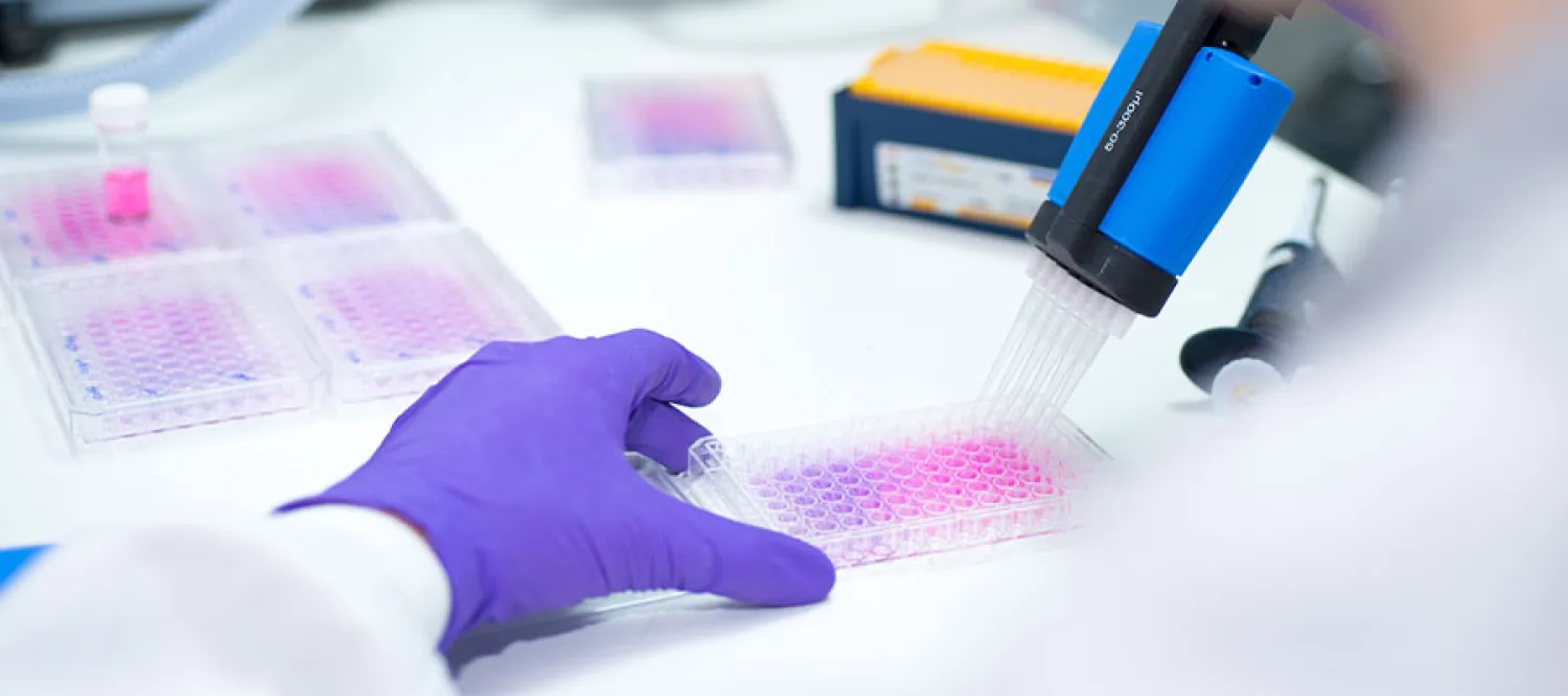 Edinburgh Cancer Discovery Unit