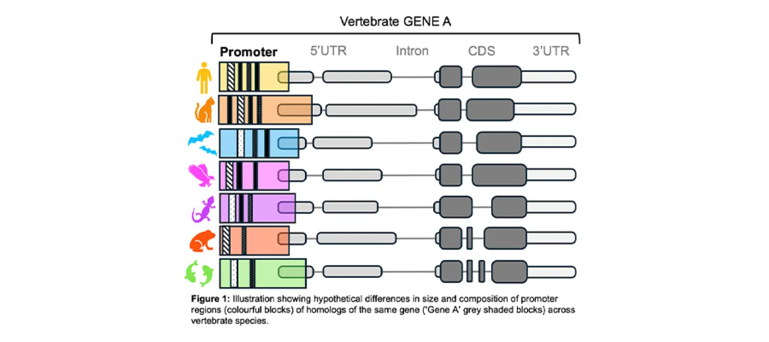 Alex Martin-Geary Research Project image