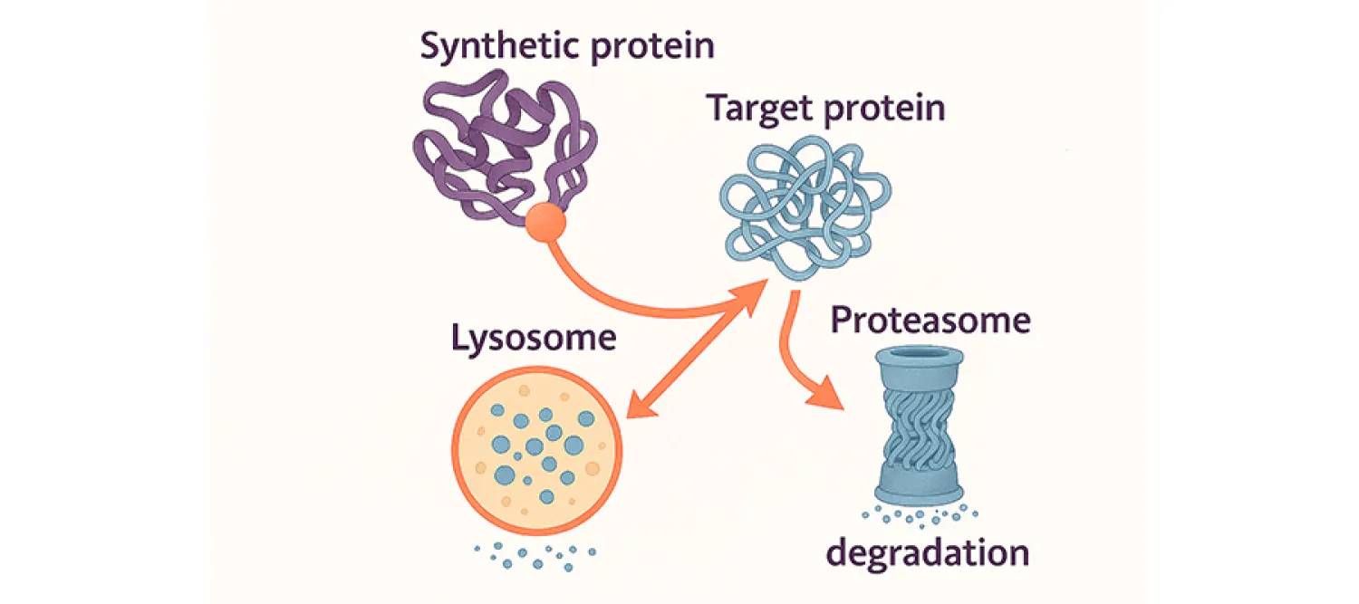 Andrew Wood Research Project image