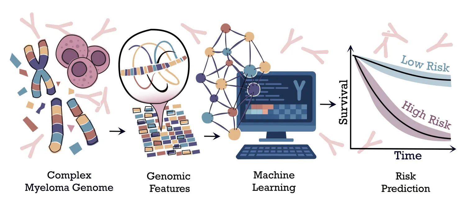Aneta Mikulasova Research Project image