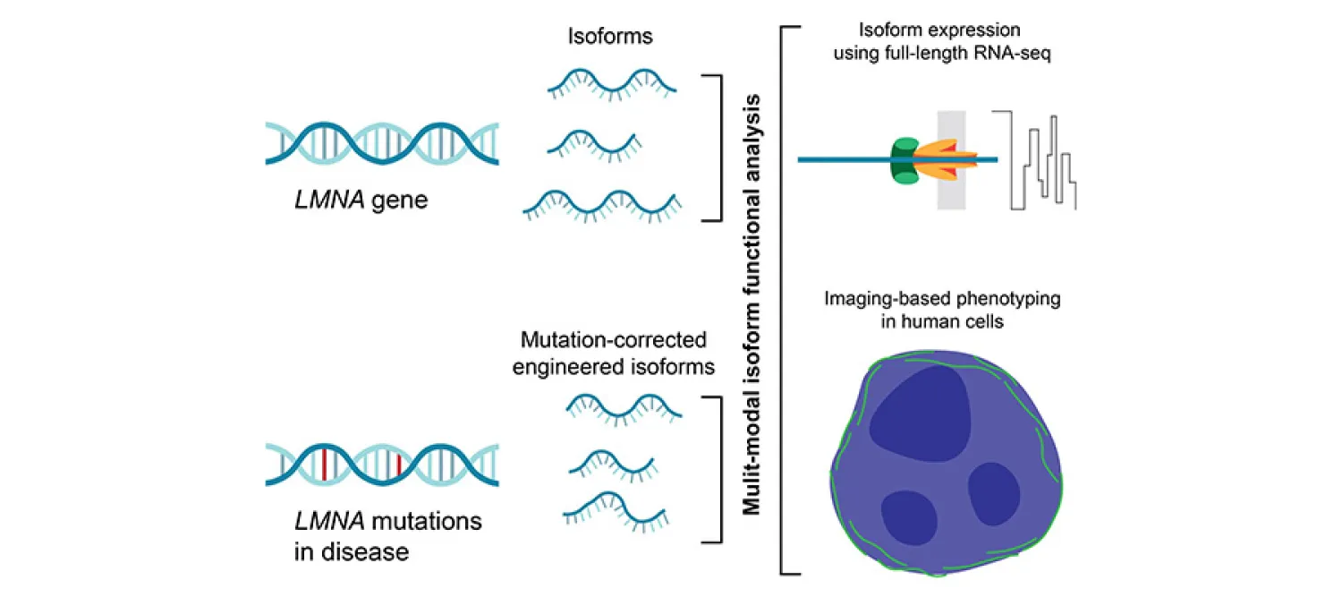 Simon Biddie Research Project Image 2026