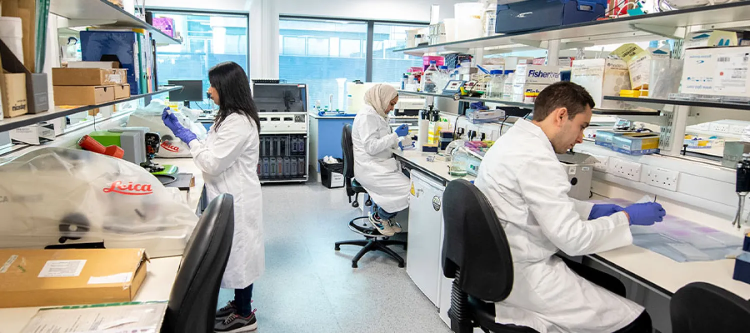 Researchers in the lab