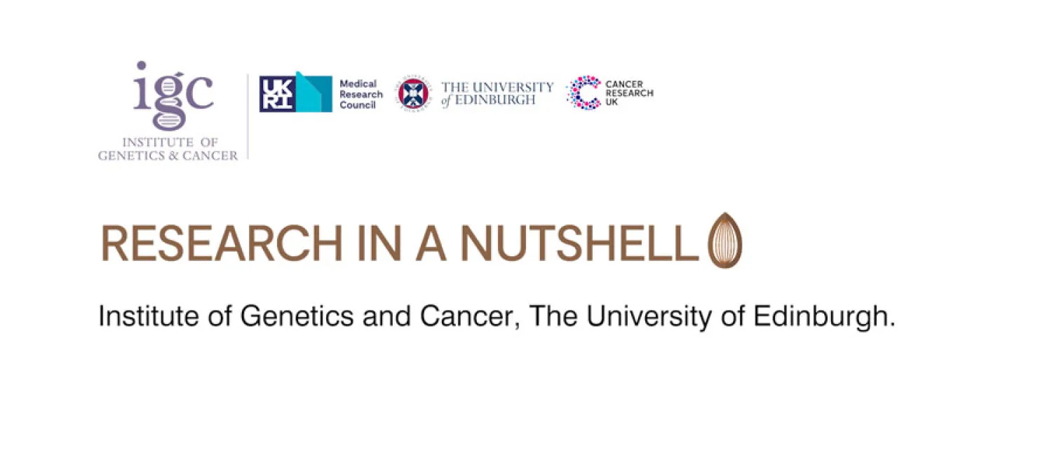 Research in a Nutshell cover image