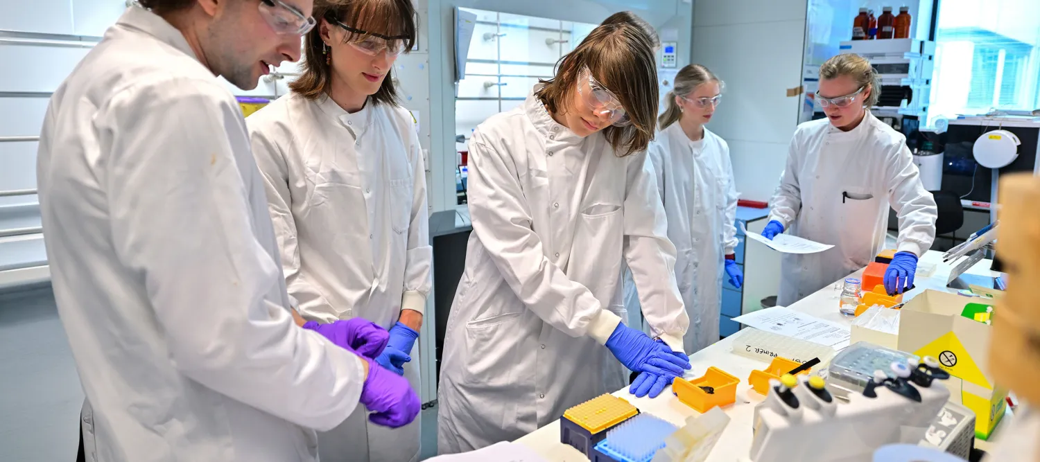 Students in the lab