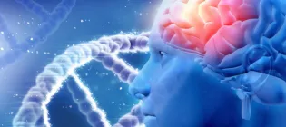 Brain and DNA