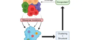 Graphical abstract