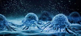 Cancer cell view