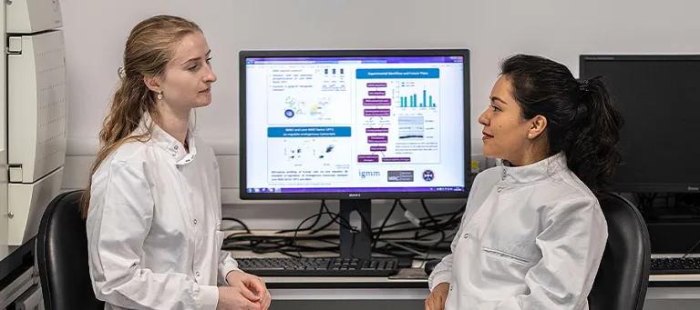 PhD opportunities