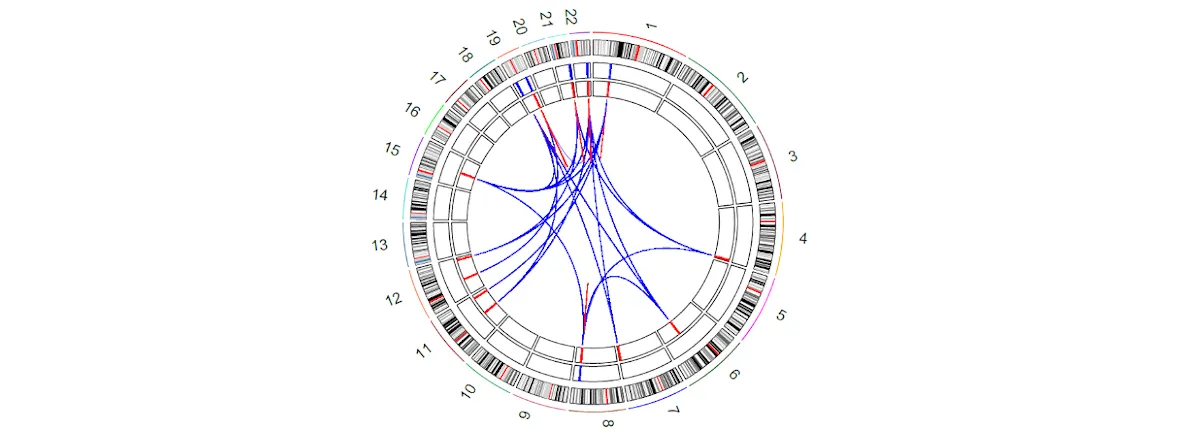 Circular plot indicating the locations of APOE ε4 vs. ε2 carrier-associated DMP and DMR CpGs. 