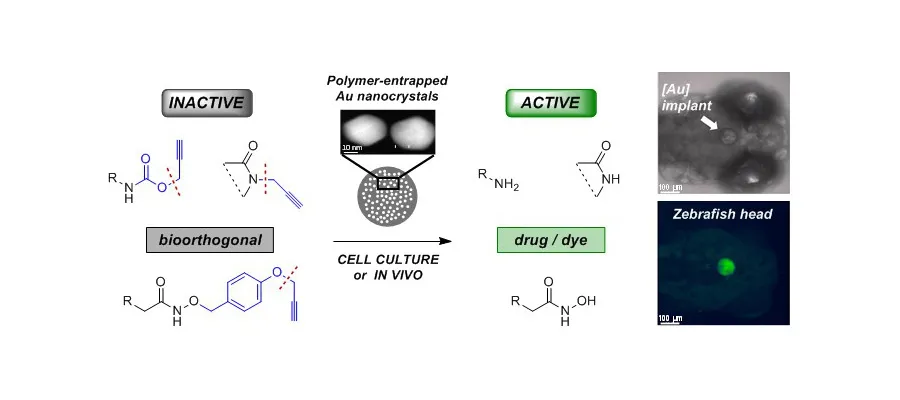 Asier Unciti-Broceta news 7.2017