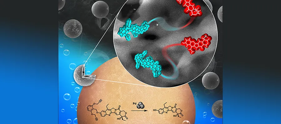 Synthesis of palladium activated analogue of anticancer drug irinotecan