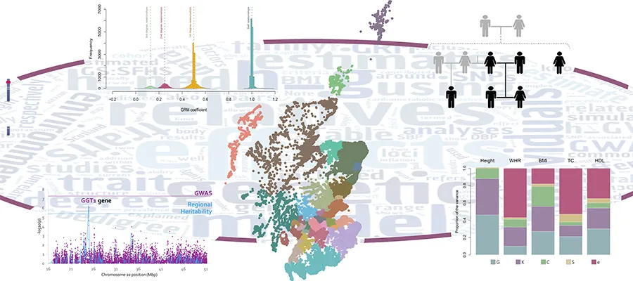 Diseases that run in families not all down to genes, study shows