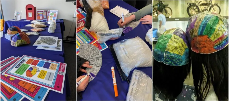The equipment, assembly and end result of the 'Look closer at your brain' public engagement activity, which involved colouriong and assembling a brain hat to demonstrate the position and purpose of different areas of the brain