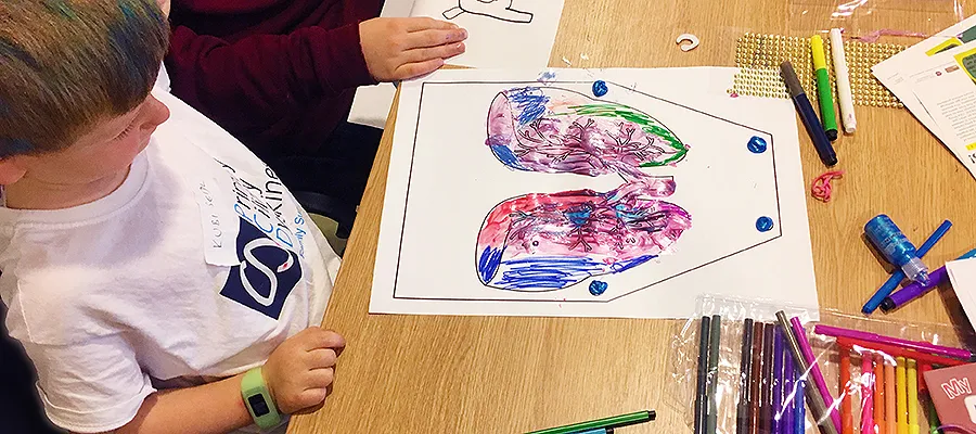 colour in lung diagram