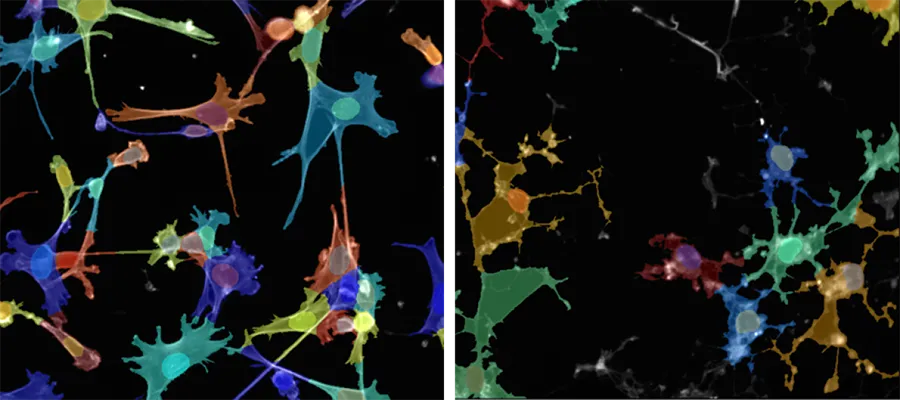 Phenotypic-discovery-facility-research