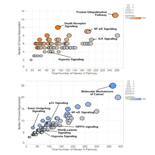 A.von Kriegsheim - Research Programme 1
