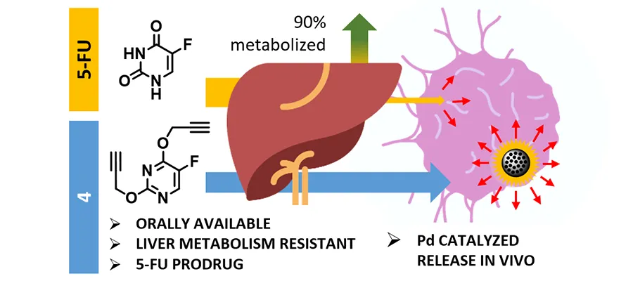 Graphical abstract of the work published in the Journal of Medicinal Chemistry [J Med Chem. 2022 Jan 13;65(1):552-561]