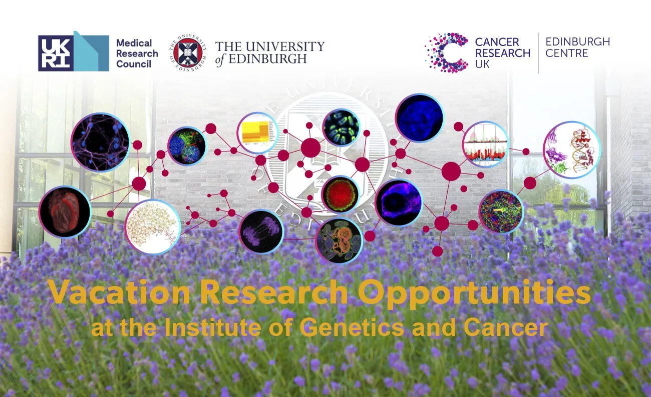 vacation-research-2018