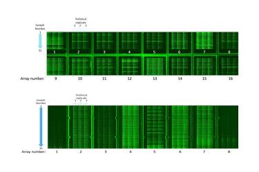 Graphs