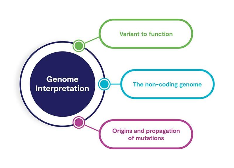 MRC HGU Research Themes