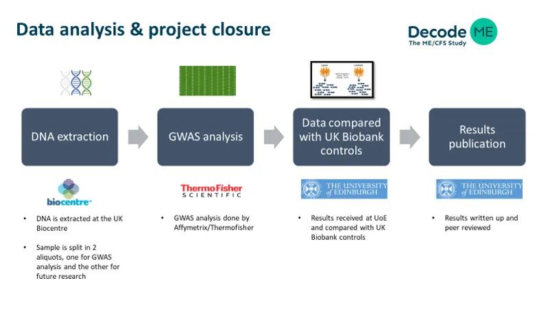 Data analysis & project completion