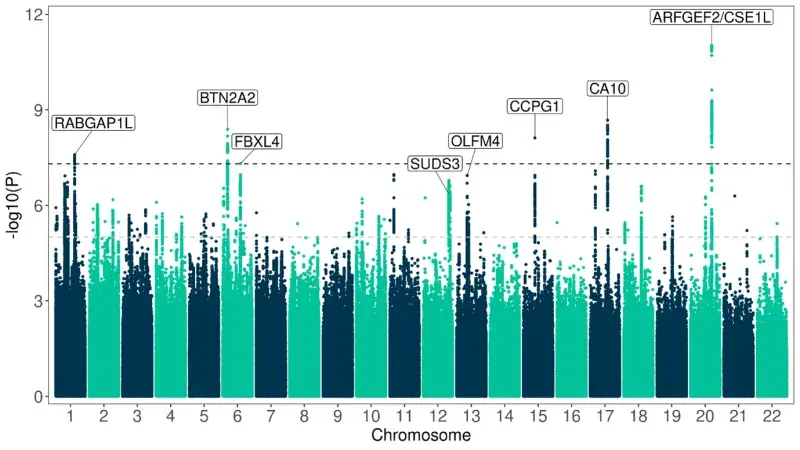 Manhattan plot for the main DecodeME GWAS. 
